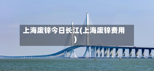 上海废锌今日长江(上海废锌费用)