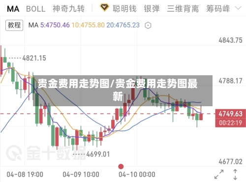 贵金费用走势图/贵金费用走势图最新-第2张图片