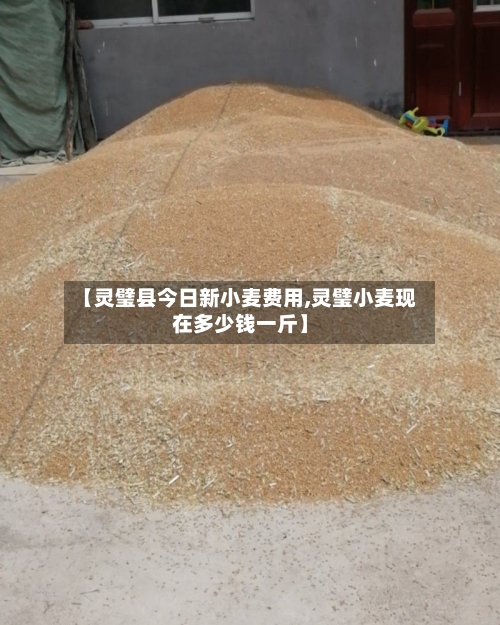 【灵璧县今日新小麦费用,灵璧小麦现在多少钱一斤】