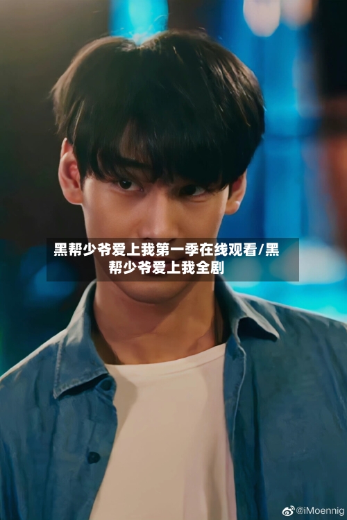 黑帮少爷爱上我第一季在线观看/黑帮少爷爱上我全剧-第3张图片