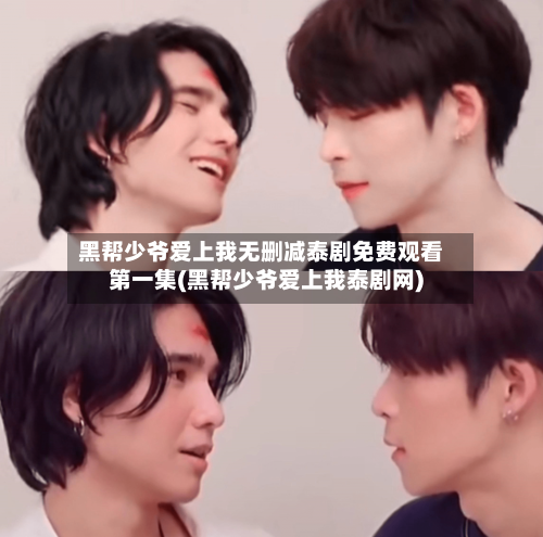 黑帮少爷爱上我无删减泰剧免费观看第一集(黑帮少爷爱上我泰剧网)