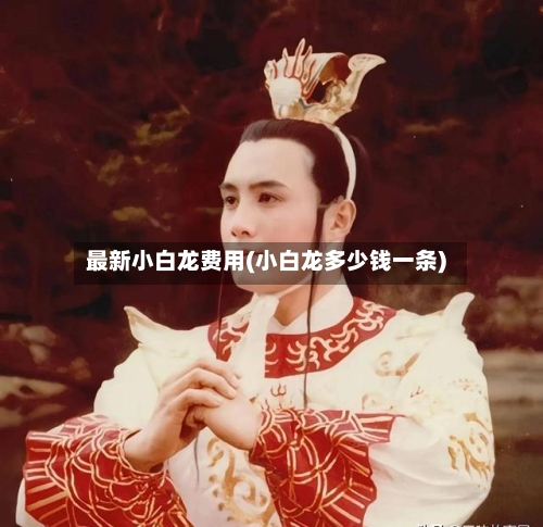 最新小白龙费用(小白龙多少钱一条)-第2张图片