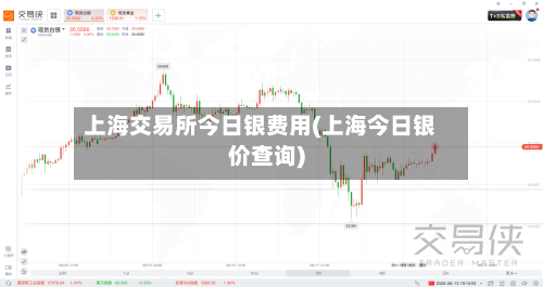 上海交易所今日银费用(上海今日银价查询)-第2张图片